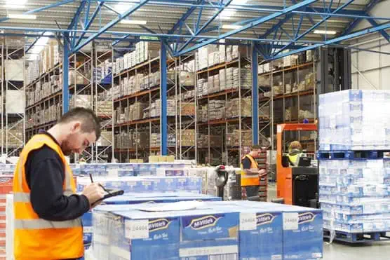Worker in front of pallet boxes