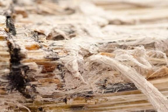 Asbestos