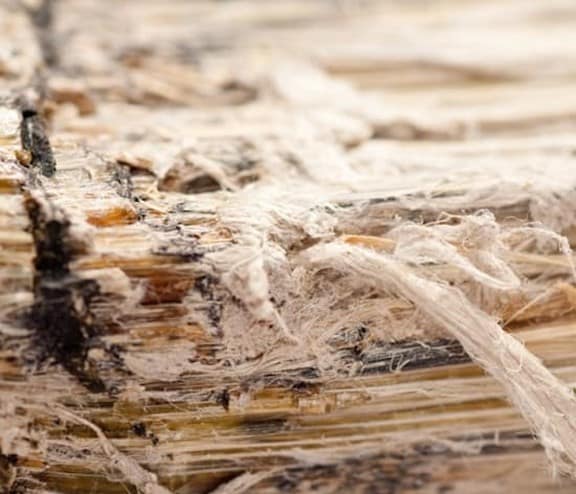 Asbestos