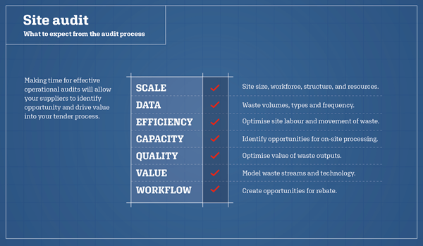 Site audit infographic
