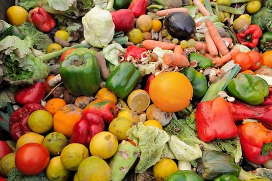 Thrown away food by office workers which could charge a phone 13 times