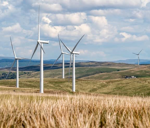 A wind farm