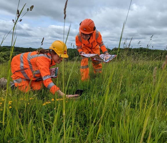 Two employees looking at biodiversity on unit