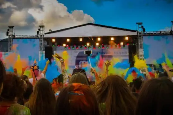 Crowd at festival
