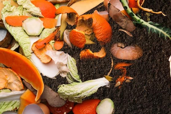Food waste next to had picking up soil