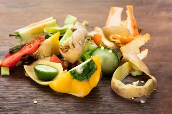 Vegetable food waste