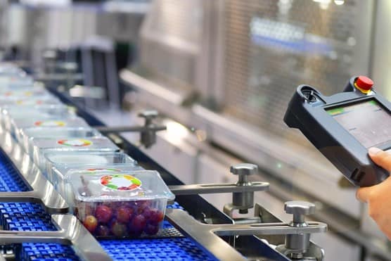 Grape boxes on production line