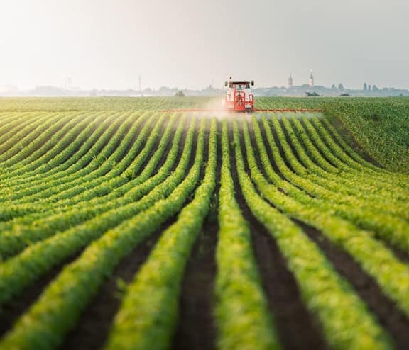 Tractor in field