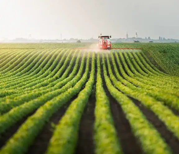 Tractor in field