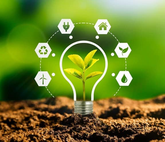 Lightbulb in soil with energy source icons