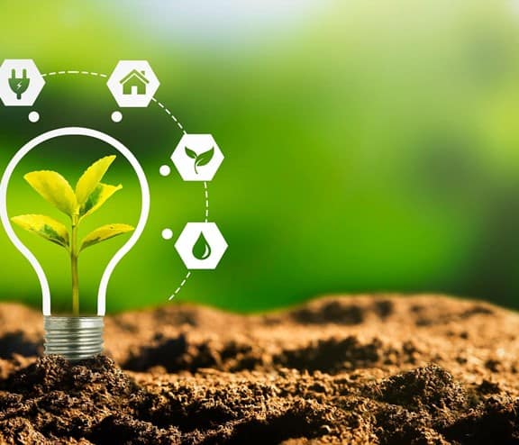 Lightbulb in soil with energy source icons